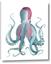 Picture of Octopus