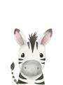Picture of Sweet Zebra _GroupedProduct_Rectangle_Portrait_Unframed_Print_Only_