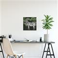 Picture of Zebra In The Jungle _GroupedProduct_Square_Canvas_Framed_
