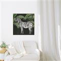 Picture of Zebra In The Jungle _GroupedProduct_Square_Canvas_Framed_
