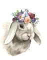 Picture of Sweet Floral Bunny _GroupedProduct_Rectangle_Portrait_Unframed_Print_Only_