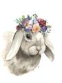 Picture of Sweet Floral Bunny _GroupedProduct_Rectangle_Portrait_Unframed_Print_Only_