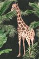 Picture of Giraffe In The Jungle _GroupedProduct_Rectangle_Portrait_Unframed_Print_Only_