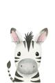 Picture of Sweet Zebra _GroupedProduct_Rectangle_Portrait_Unframed_Print_Only_
