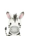 Picture of Sweet Zebra _GroupedProduct_Rectangle_Portrait_Unframed_Print_Only_
