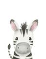 Picture of Sweet Zebra _GroupedProduct_Rectangle_Portrait_Unframed_Print_Only_