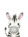 Picture of Sweet Zebra _GroupedProduct_Rectangle_Portrait_Unframed_Print_Only_