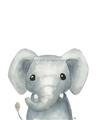 Picture of Sweet Elephant _GroupedProduct_Rectangle_Portrait_Unframed_Print_Only_