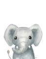 Picture of Sweet Elephant _GroupedProduct_Rectangle_Portrait_Unframed_Print_Only_