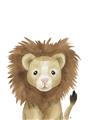 Picture of Sweet Lion _GroupedProduct_Rectangle_Portrait_Unframed_Print_Only_