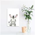 Picture of Sweet Zebra _GroupedProduct_Rectangle_Portrait_Unframed_Print_Only_