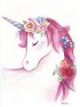 Picture of Pink Unicorn _GroupedProduct_Rectangle_Portrait_Unframed_Print_Only_