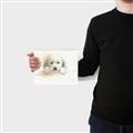 Picture of Cute Puppy _GroupedProduct_Rectangle_Landscape_Canvas_