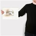 Picture of Cute Puppy _GroupedProduct_Rectangle_Landscape_Canvas_