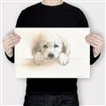 Picture of Cute Puppy _GroupedProduct_Rectangle_Landscape_Canvas_