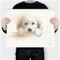 Picture of Cute Puppy _GroupedProduct_Rectangle_Landscape_Canvas_