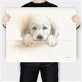 Picture of Cute Puppy _GroupedProduct_Rectangle_Landscape_Canvas_