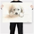 Picture of Cute Puppy _GroupedProduct_Rectangle_Landscape_Canvas_