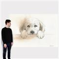 Picture of Cute Puppy _GroupedProduct_Rectangle_Landscape_Canvas_