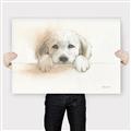 Picture of Cute Puppy _GroupedProduct_Rectangle_Landscape_Canvas_