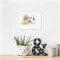Picture of Cute Puppy _GroupedProduct_Rectangle_Landscape_Canvas_