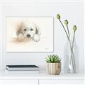 Picture of Cute Puppy _GroupedProduct_Rectangle_Landscape_Canvas_