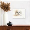 Picture of Cute Puppy _GroupedProduct_Rectangle_Landscape_Canvas_
