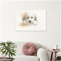 Picture of Cute Puppy _GroupedProduct_Rectangle_Landscape_Canvas_