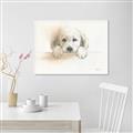 Picture of Cute Puppy _GroupedProduct_Rectangle_Landscape_Canvas_