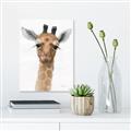 Picture of Nursery Giraffe _GroupedProduct_Rectangle_Portrait_Canvas_