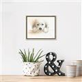 Picture of Cute Puppy _GroupedProduct_Rectangle_Landscape_Canvas_Framed_