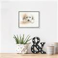 Picture of Cute Puppy _GroupedProduct_Rectangle_Landscape_Canvas_Framed_
