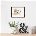 Picture of Cute Puppy _GroupedProduct_Rectangle_Landscape_Canvas_Framed_