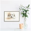Picture of Cute Puppy _GroupedProduct_Rectangle_Landscape_Canvas_Framed_