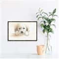 Picture of Cute Puppy _GroupedProduct_Rectangle_Landscape_Canvas_Framed_