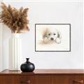 Picture of Cute Puppy _GroupedProduct_Rectangle_Landscape_Canvas_Framed_