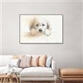 Picture of Cute Puppy _GroupedProduct_Rectangle_Landscape_Canvas_Framed_