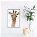 Picture of Nursery Giraffe _GroupedProduct_Rectangle_Portrait_Canvas_Framed_