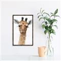 Picture of Nursery Giraffe _GroupedProduct_Rectangle_Portrait_Canvas_Framed_