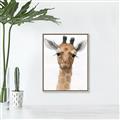 Picture of Nursery Giraffe _GroupedProduct_Rectangle_Portrait_Canvas_Framed_