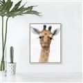Picture of Nursery Giraffe _GroupedProduct_Rectangle_Portrait_Canvas_Framed_