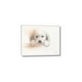 Picture of Cute Puppy _GroupedProduct_Rectangle_Landscape_Canvas_