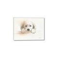Picture of Cute Puppy _GroupedProduct_Rectangle_Landscape_Canvas_