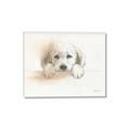 Picture of Cute Puppy _GroupedProduct_Rectangle_Landscape_Canvas_