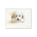 Picture of Cute Puppy _GroupedProduct_Rectangle_Landscape_Canvas_