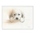 Picture of Cute Puppy _GroupedProduct_Rectangle_Landscape_Canvas_