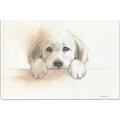 Picture of Cute Puppy _GroupedProduct_Rectangle_Landscape_Canvas_