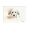 Picture of Cute Puppy _GroupedProduct_Rectangle_Landscape_Canvas_