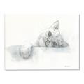 Picture of Cute cat _GroupedProduct_Rectangle_Landscape_Canvas_