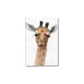 Picture of Nursery Giraffe _GroupedProduct_Rectangle_Portrait_Canvas_